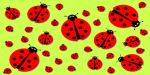 marienkaefer-party-top-01-800x400.jpg