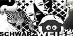 schwarz-weiss-party-top-01-800x400.jpg
