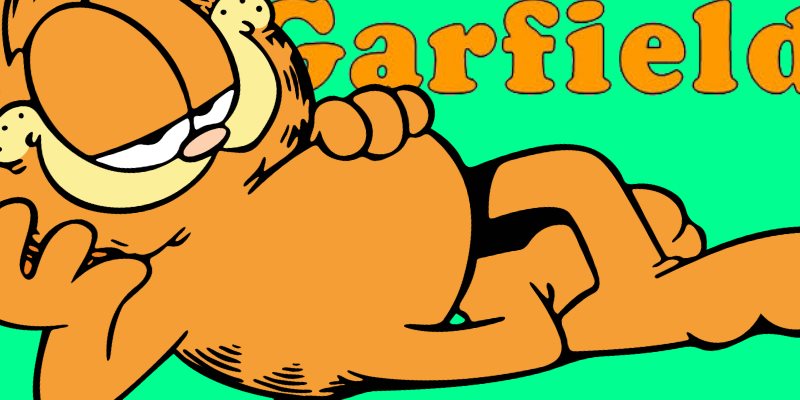 Garfield Party