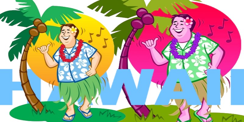 Hawaii Party