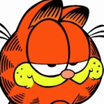 Kindergeburtstag Motto Garfield