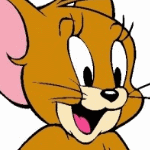 Motto-Steckbrief Tom und Jerry Geburtstag