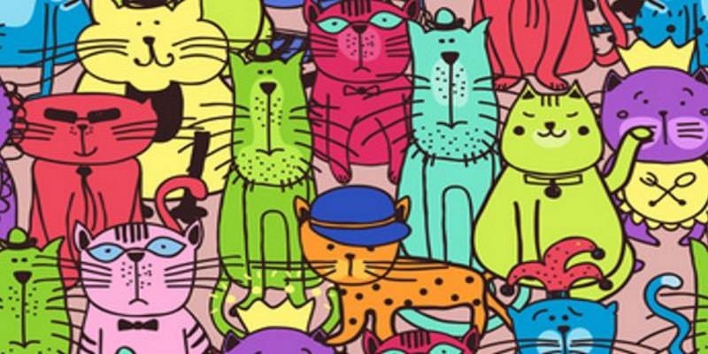 Katzen-Party