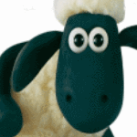 Motto-Steckbrief Schaun das Schaf